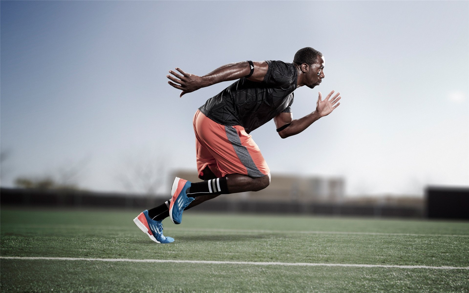 体育赛事收视率统计报告