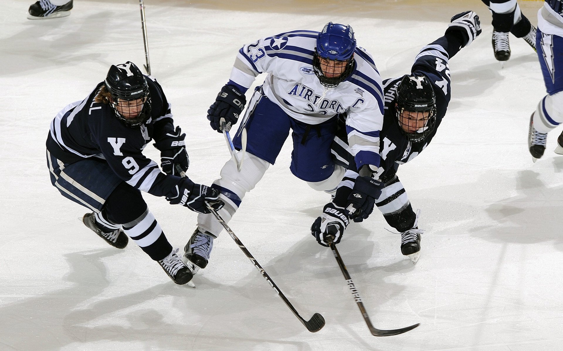 体育赛事直播收视率排行